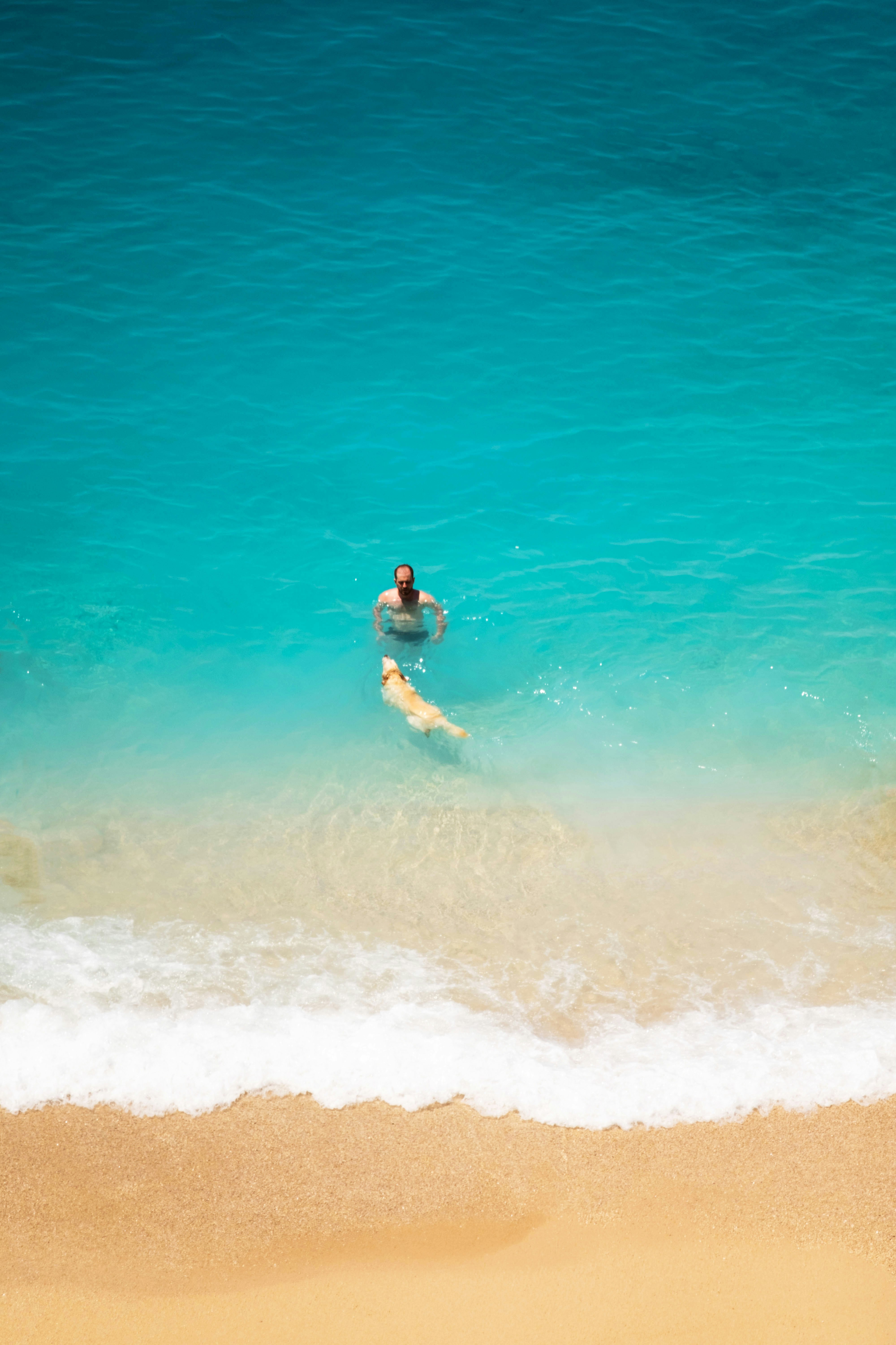 woman in black bikini on beach during daytime